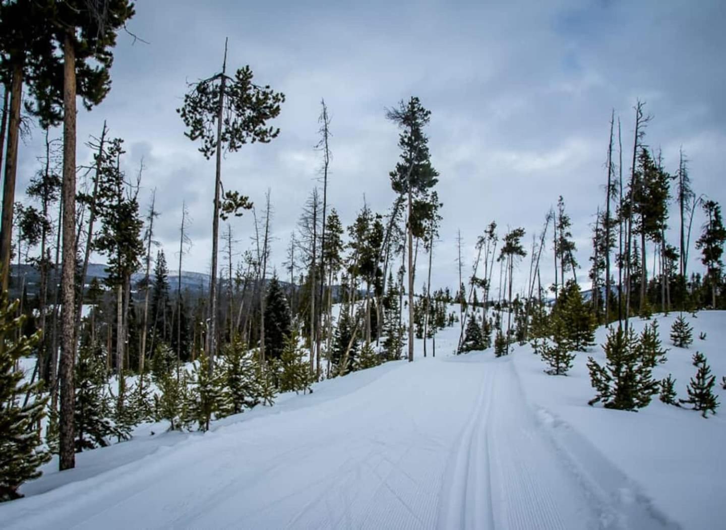 The Loose Moose Cabin #11 At Downtown Grand Lake Esterno foto
